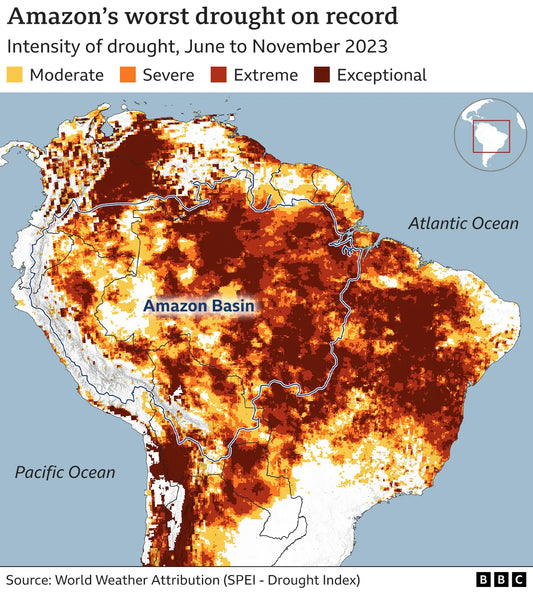 What do you need to know about the Amazon’s worst drought on record?