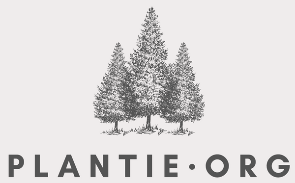 Plantie.org - plant trees and do good